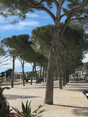 La Ciotat : Superbe Appartement Proche Du Port Zewnętrze zdjęcie
